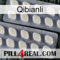 Qibianli 07
